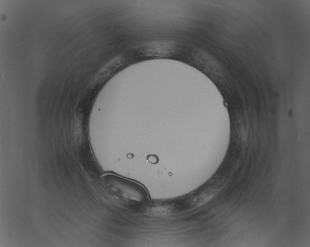 X0000062670312200601111251