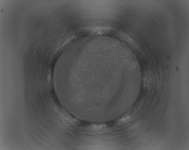 X0000062670314200601111251