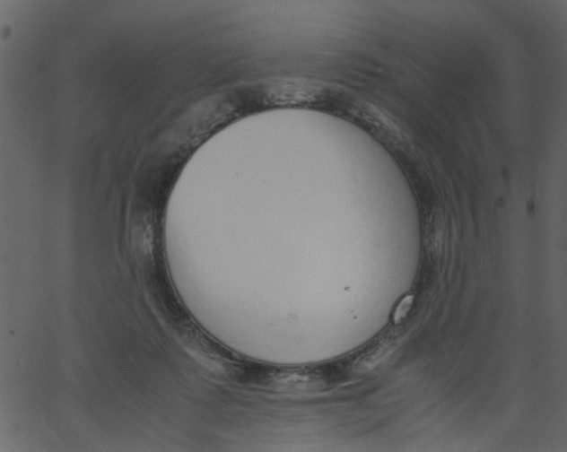 X0000062670315200601111251