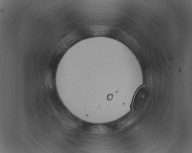 X0000062670316200601111251