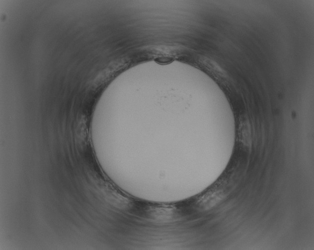 X0000062670318200601111251