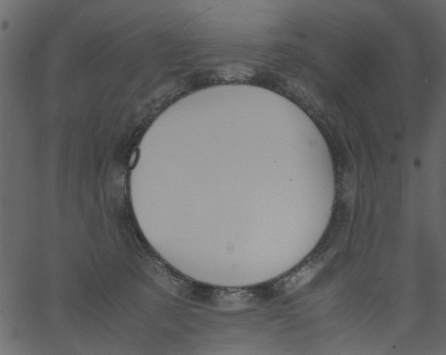 X0000062670321200601111250