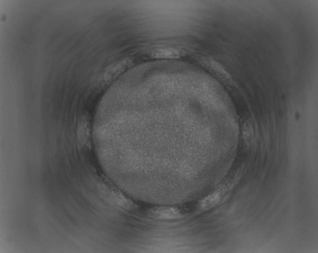 X0000062670322200601111250