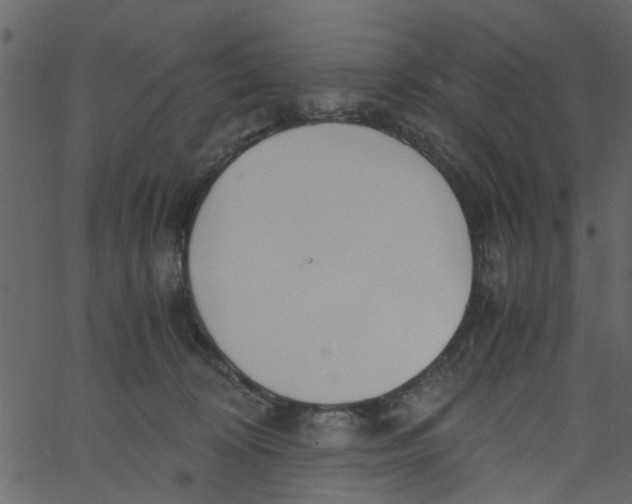 X0000062670324200601111250