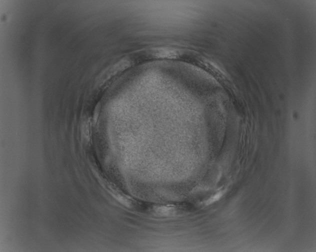 X0000062670325200601111250