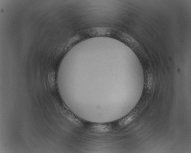 X0000062670326200601111250