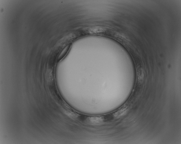 X0000062670327200601111250