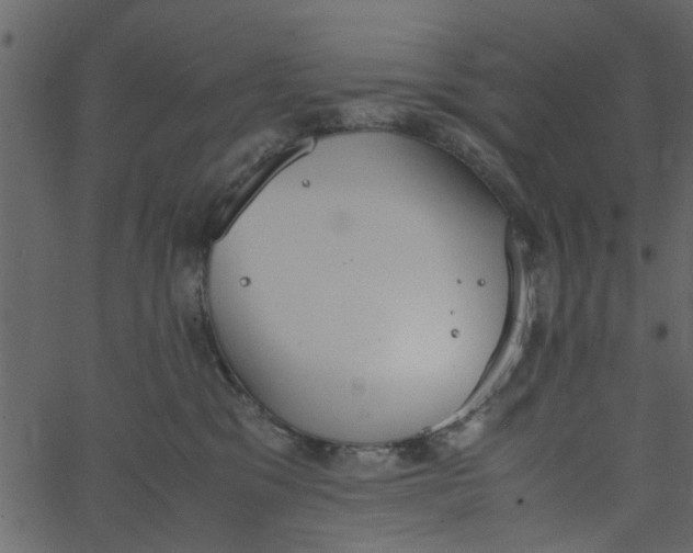 X0000062670329200601111250