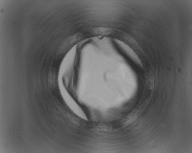 X0000062670330200601111250