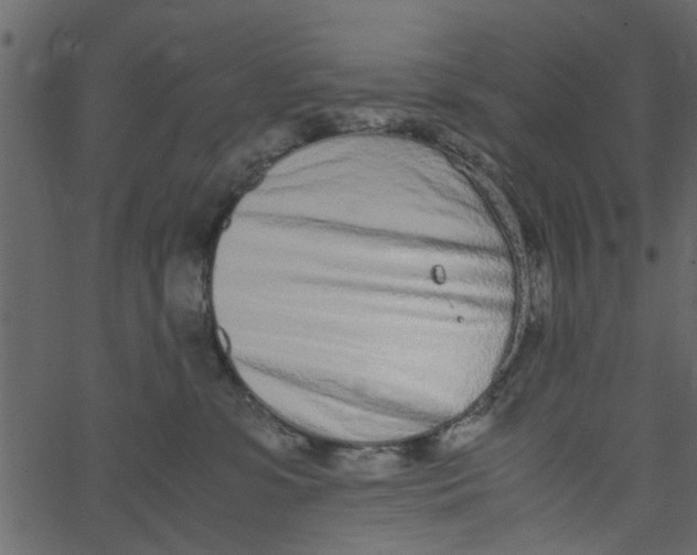 X0000062670331200601111250