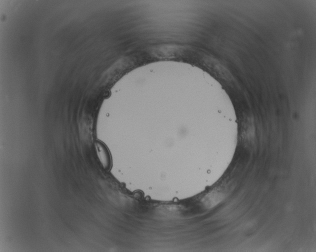 X0000062670332200601111250