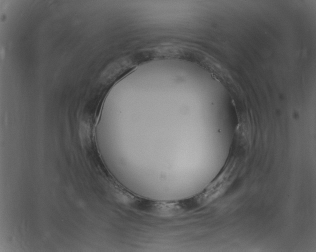 X0000062670333200601111250