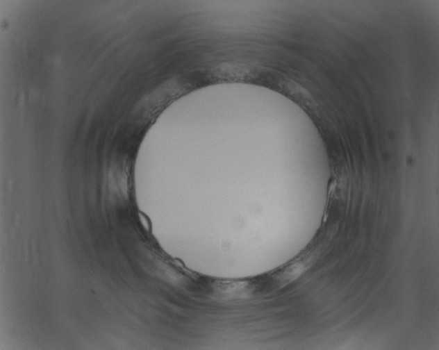 X0000062670334200601111250