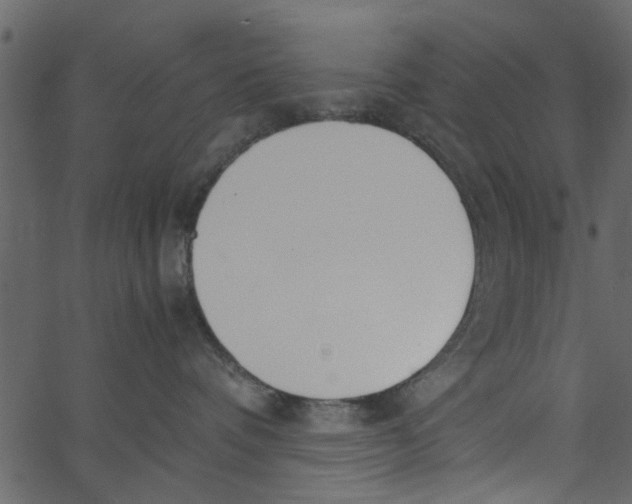 X0000062670336200601111250