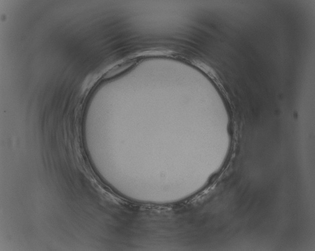 X0000062670337200601111249