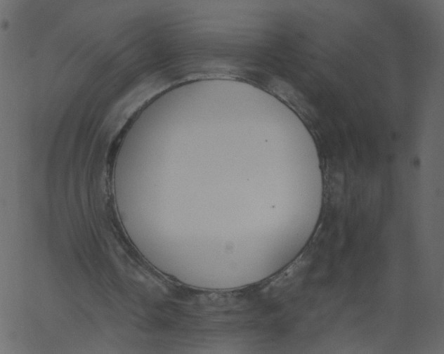 X0000062670338200601111249