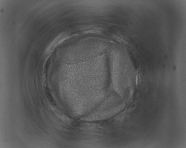 X0000062670339200601111249