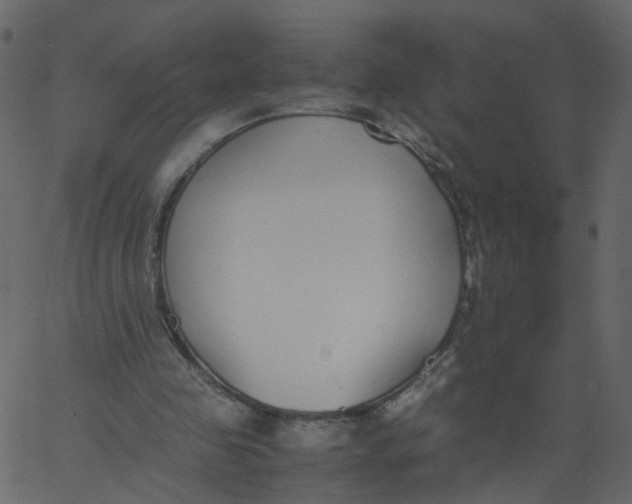 X0000062670341200601111249