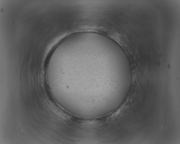 X0000062670342200601111250