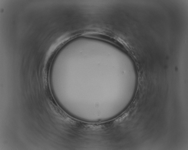 X0000062670343200601111250