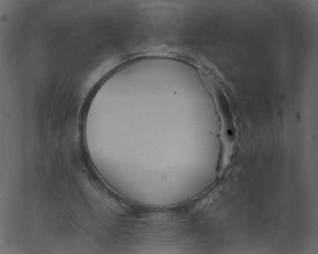 X0000062670344200601111250