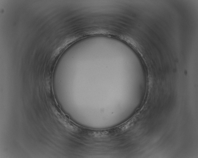 X0000062670345200601111250