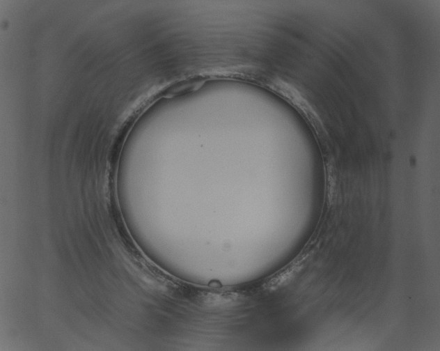 X0000062670346200601111250