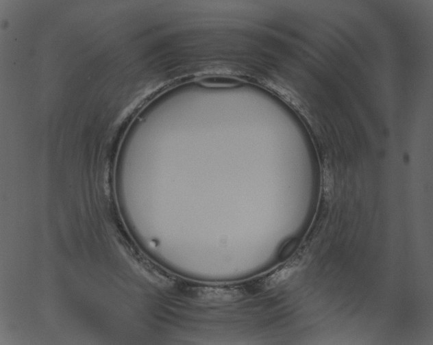 X0000062670347200601111250