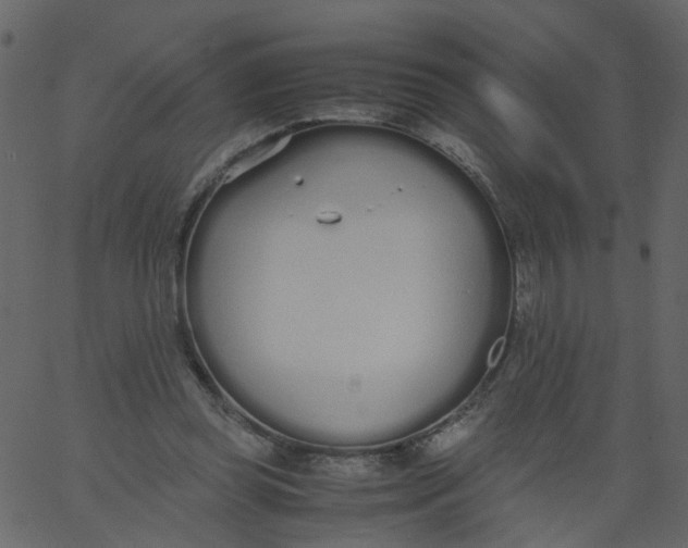 X0000062670349200601111250