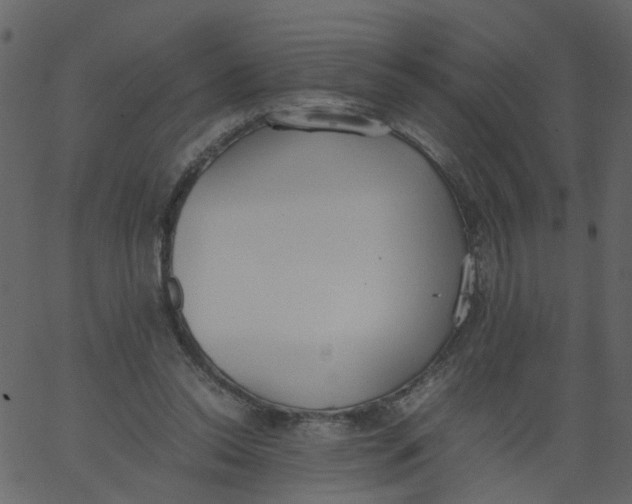 X0000062670350200601111250