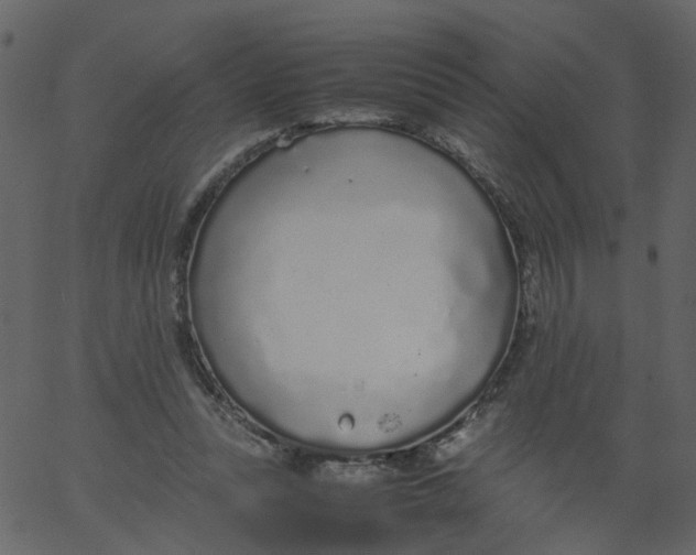 X0000062670351200601111250