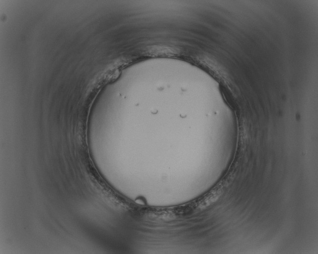 X0000062670353200601111250