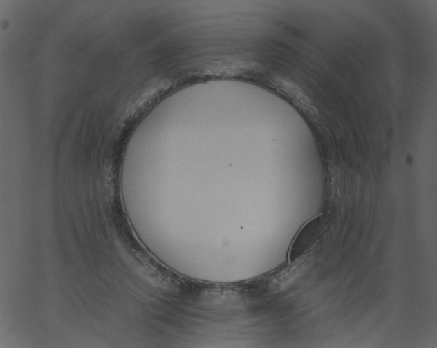 X0000062670354200601111250