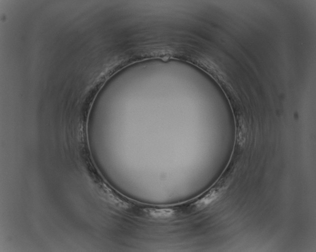 X0000062670355200601111250