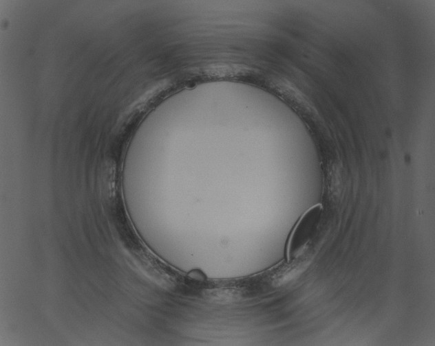 X0000062670356200601111250