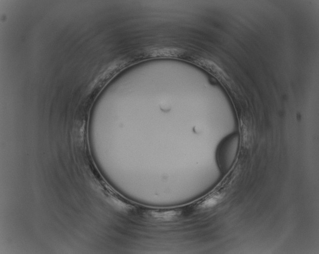 X0000062670357200601111250