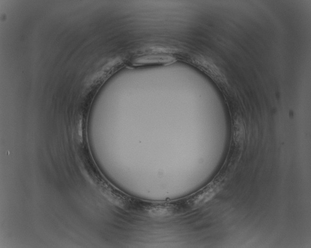 X0000062670358200601111250