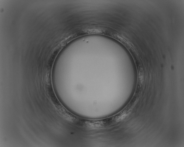 X0000062670359200601111250