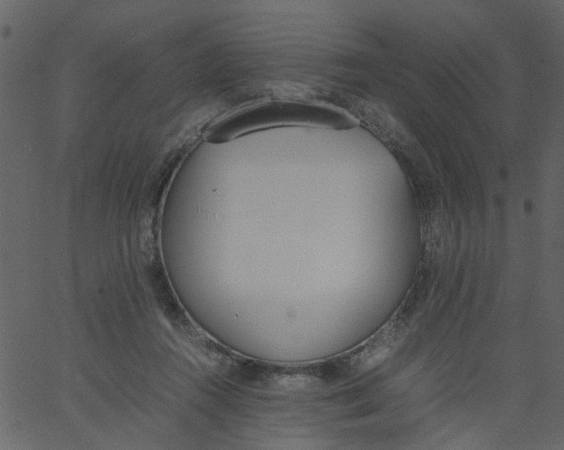 X0000062670360200601111250