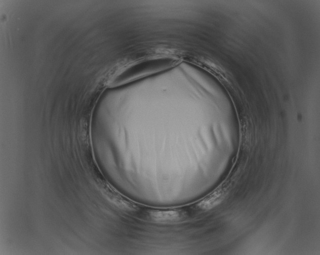 X0000062670361200601111250