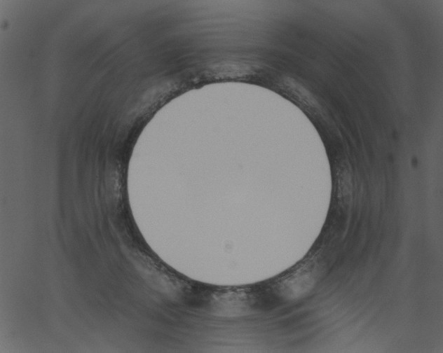 X0000062670362200601111250