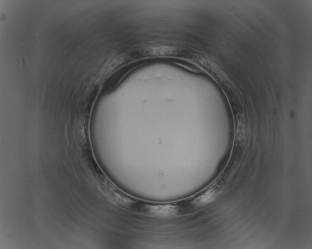 X0000062670363200601111250