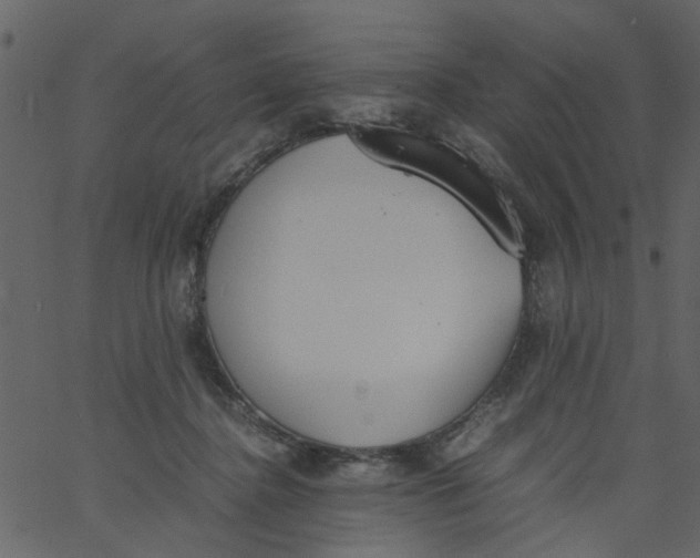 X0000062670364200601111250