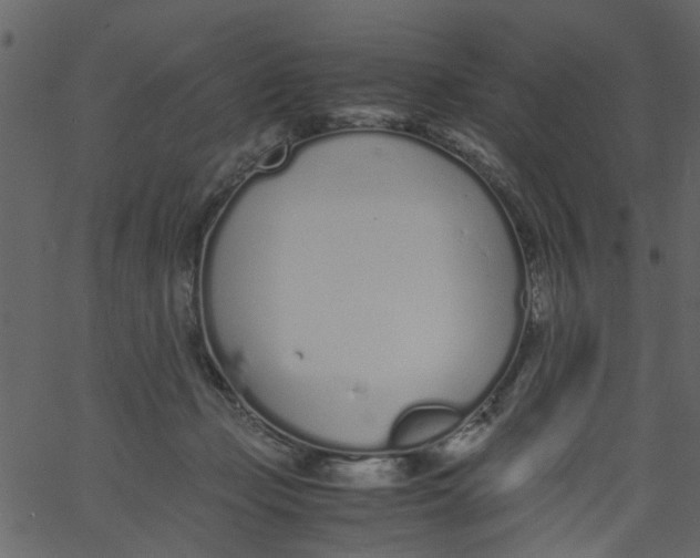 X0000062670365200601111250