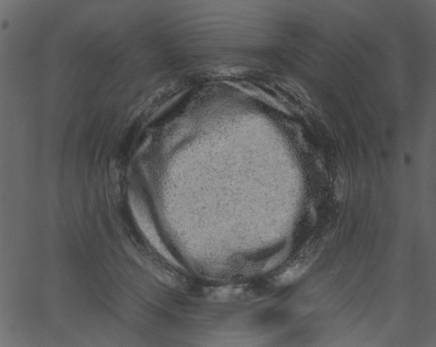 X0000062670366200601111250