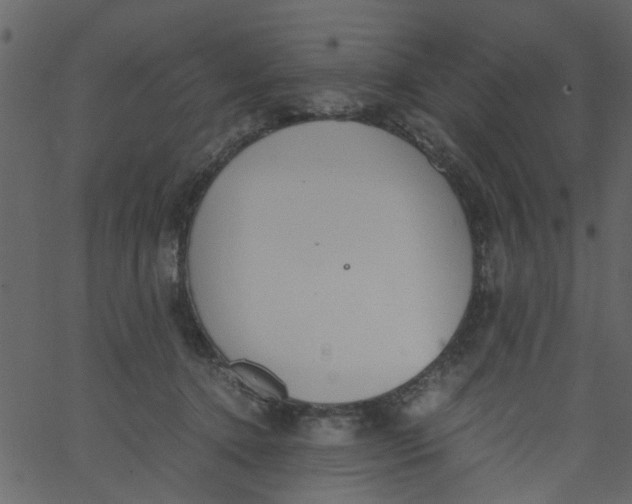 X0000062670368200601111250