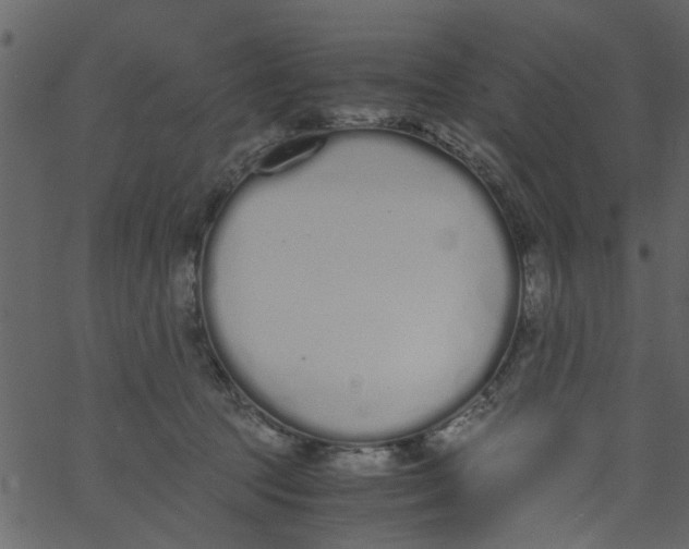 X0000062670369200601111250