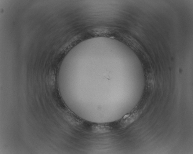 X0000062670372200601111250