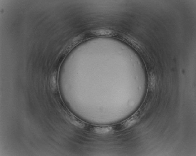 X0000062670373200601111250