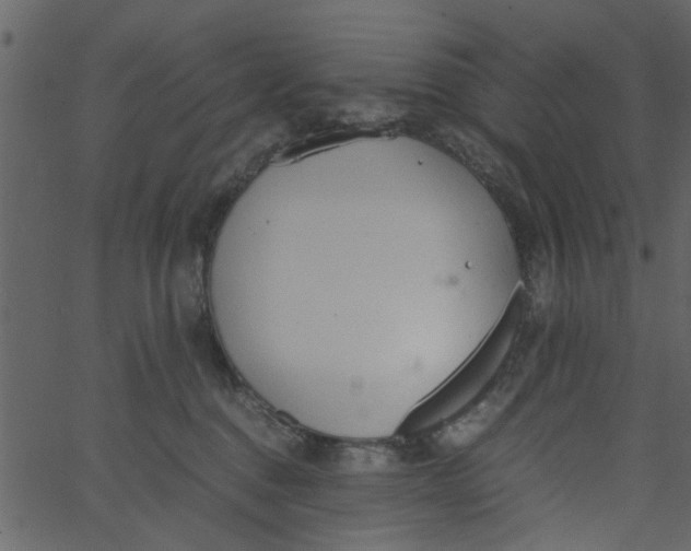 X0000062670376200601111250